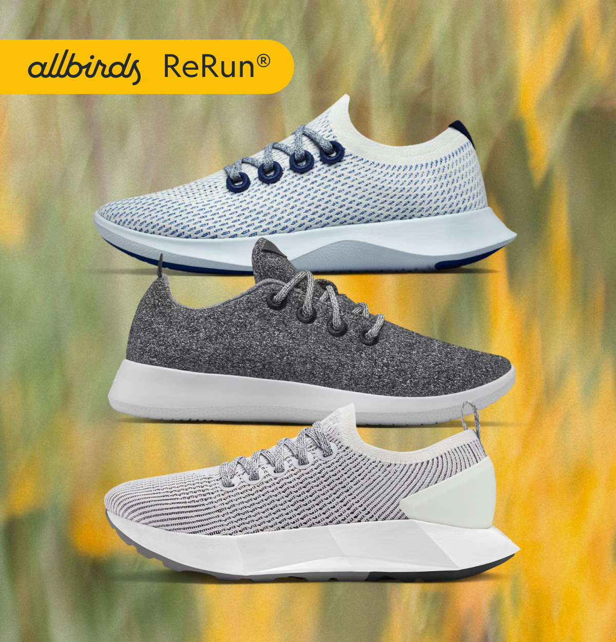 Allbirds Rerun