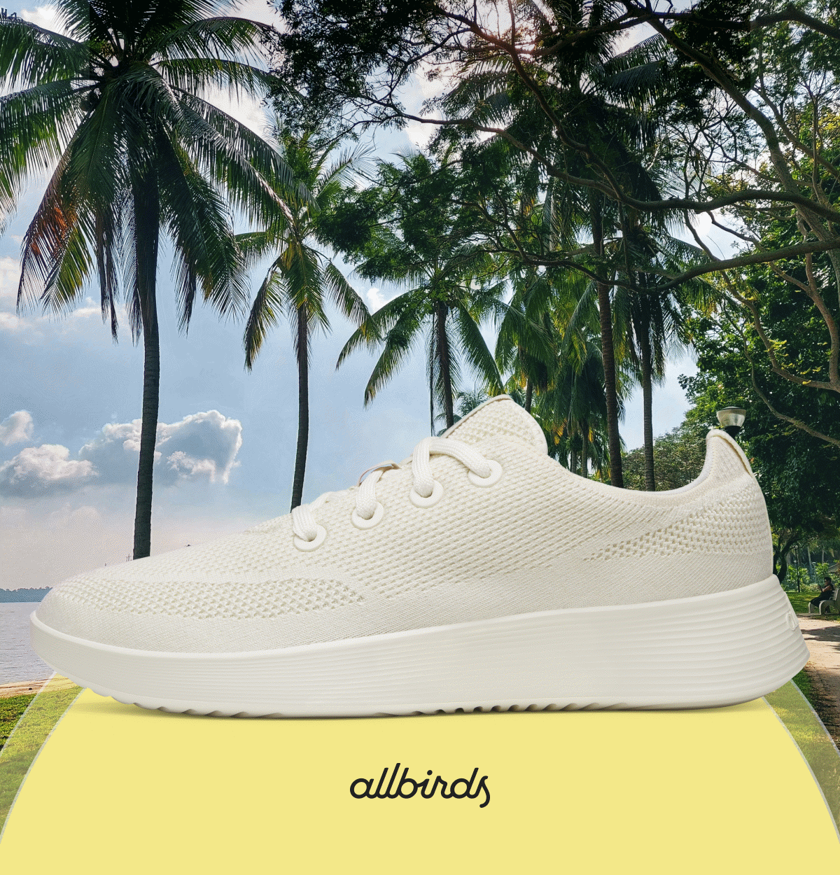 Allbirds Summer Bestsellers