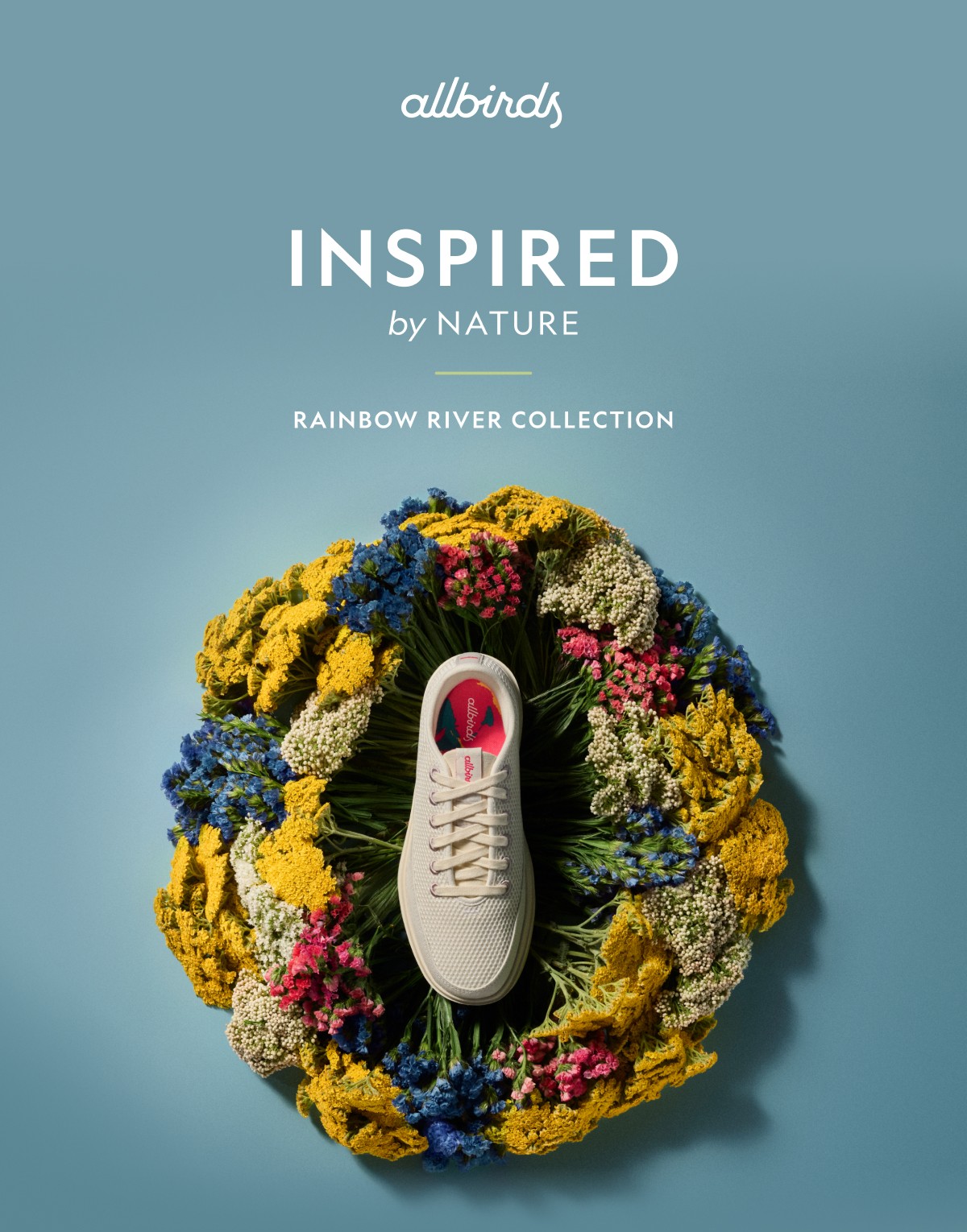 Allbirds Limited Edition Hues From Nature Campaign Buzz