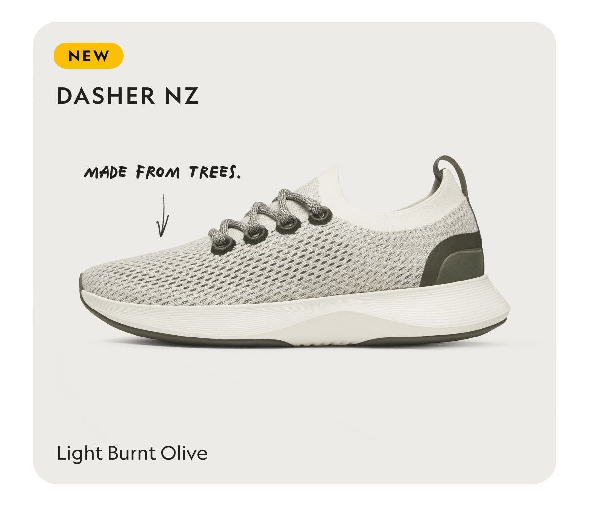 Dasher NZ