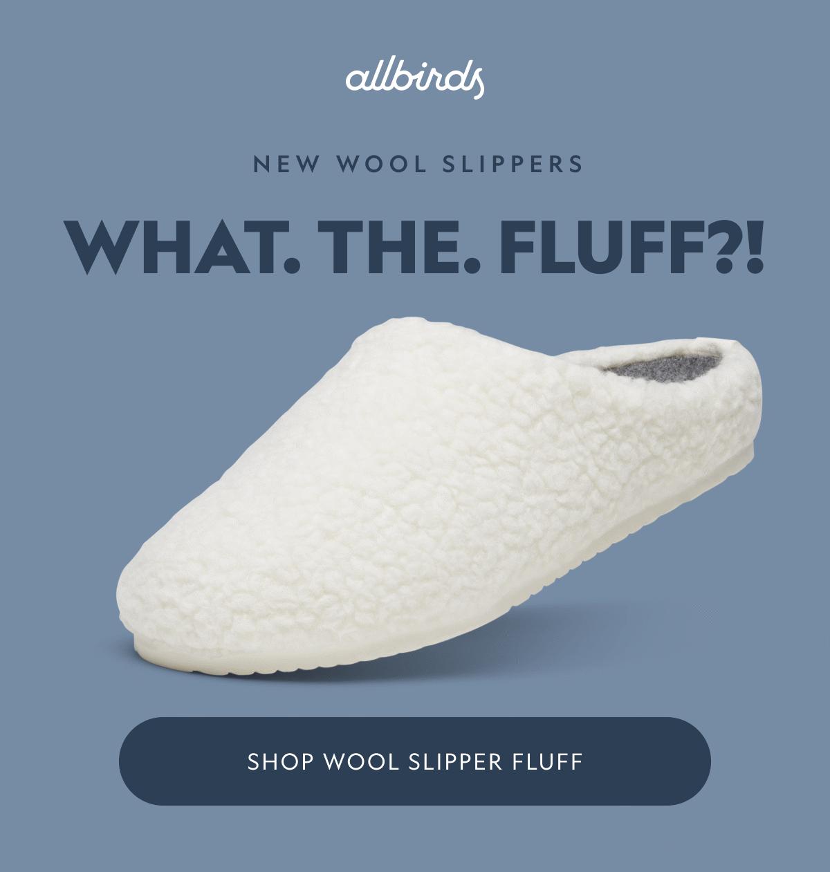 The Wool Fluff Slippers