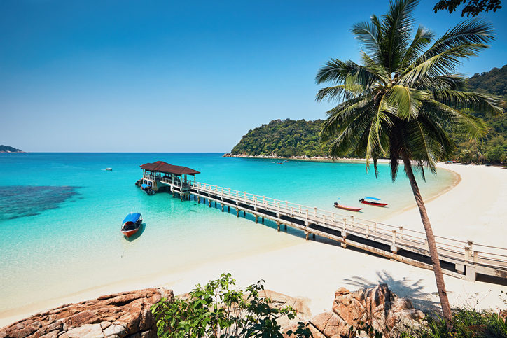 Tropical Forgotten Kingdom