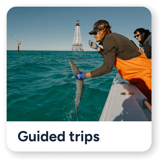 Guided trips