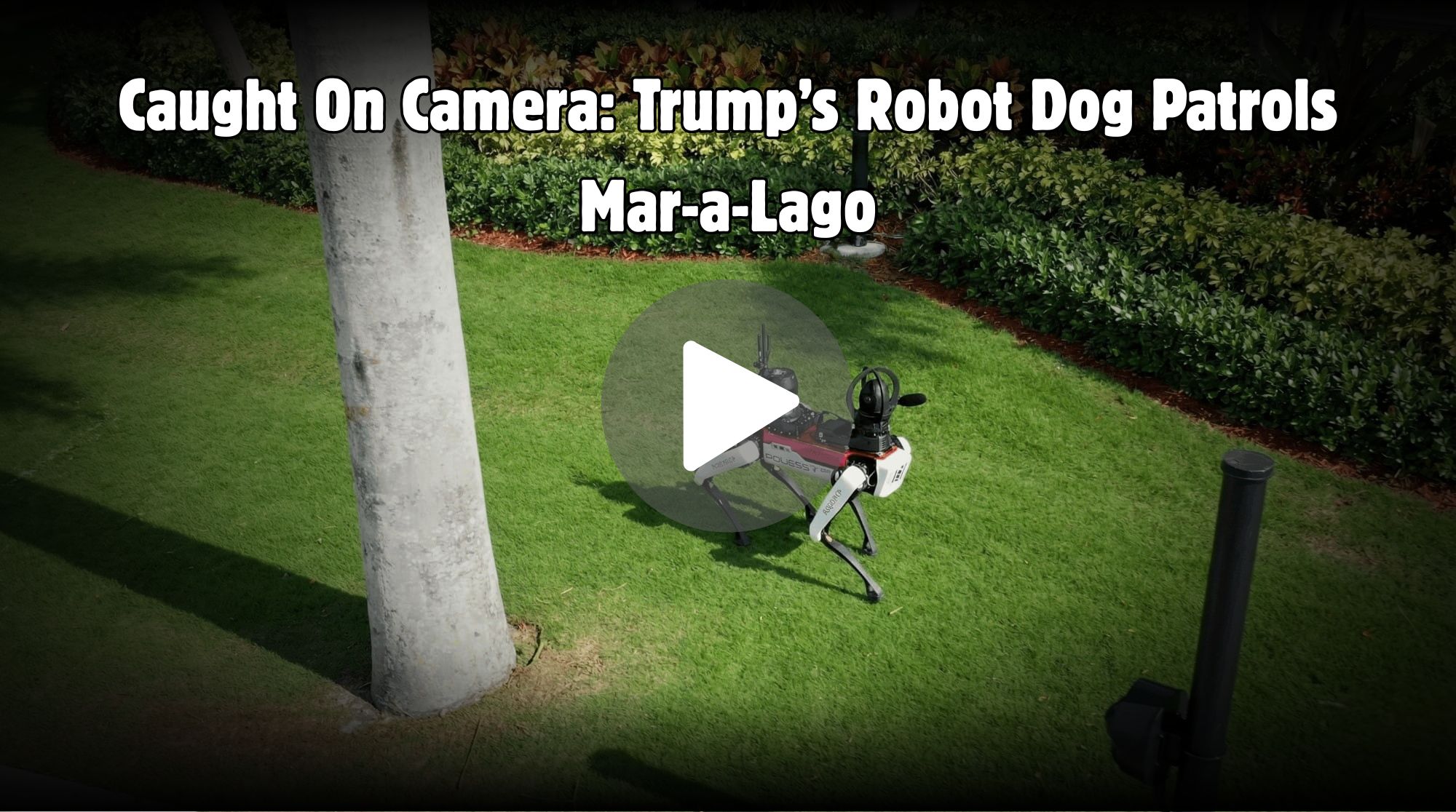 Robot