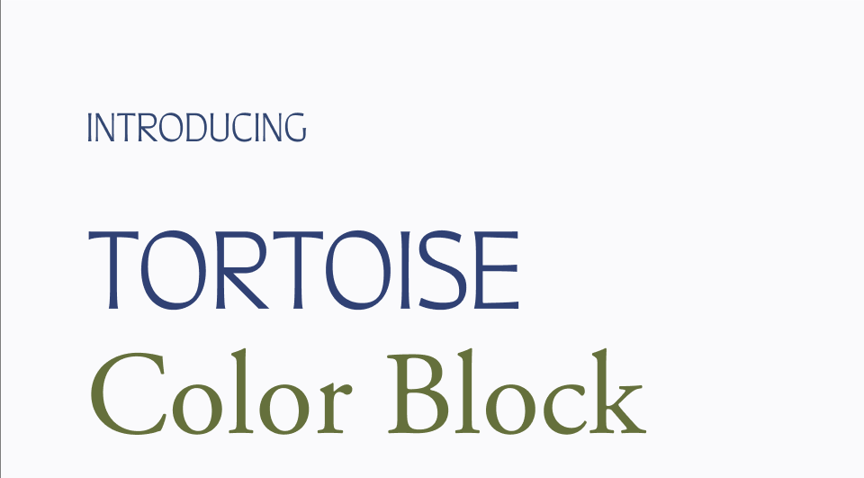 Introducing Tortoise Color Block Introducing Tortoise Color Block