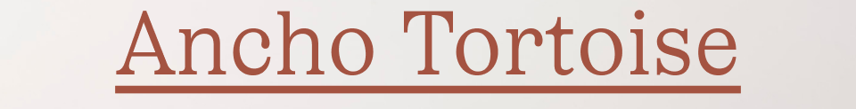 Ancho Tortoise