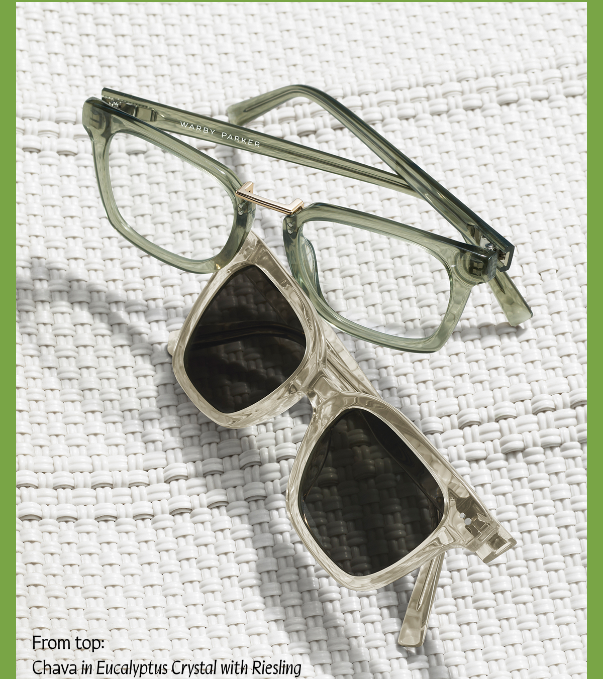 Chava in Eucalyptus with Riesling