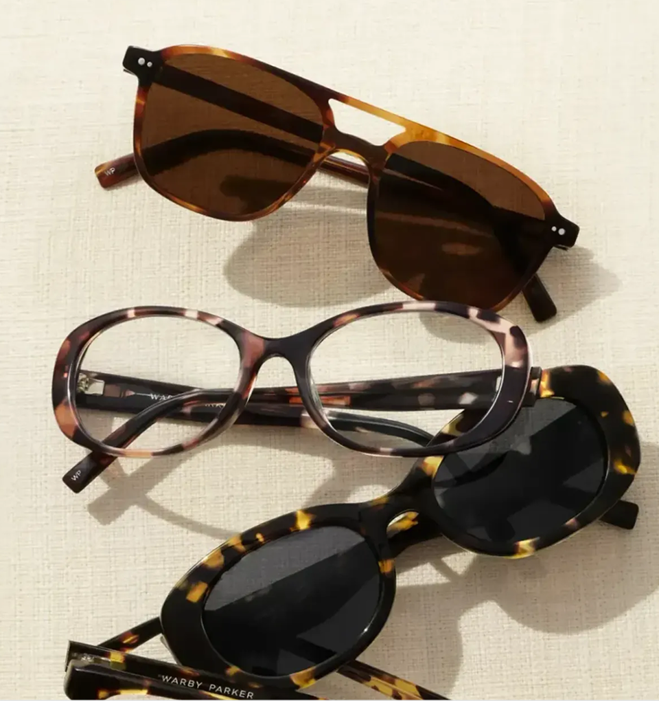 Tortoise Frames