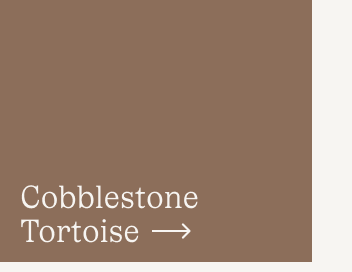 Cobblestone Tortoise Cobblestone Tortoise