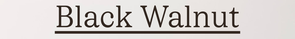 Black Walnut
