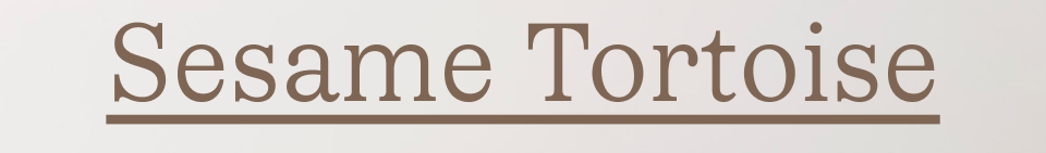 Sesame Tortoise
