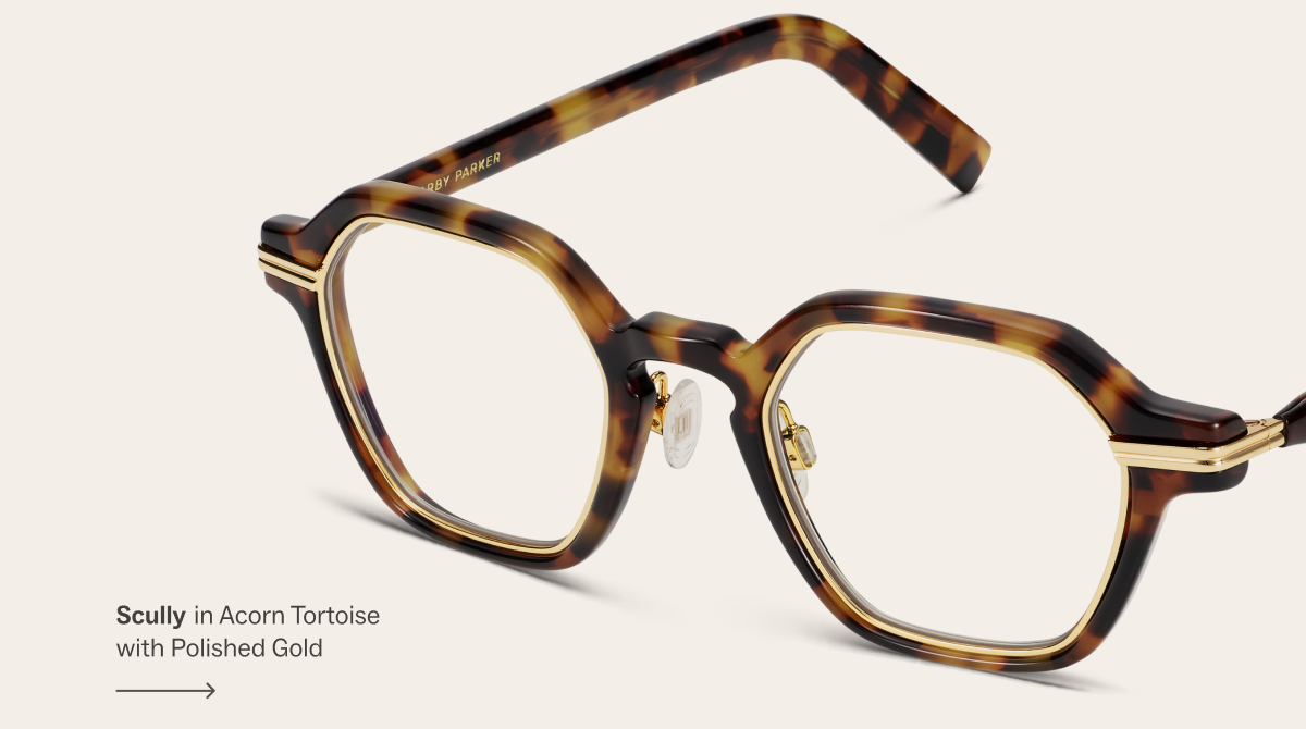 Scully in Acorn Tortoise Scully in Acorn Tortoise