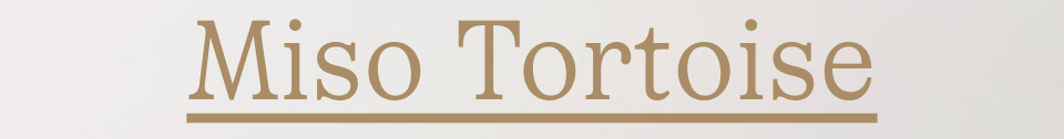 Miso Tortoise