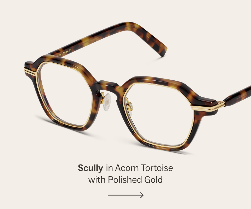 Scully in Acorn Tortoise Scully in Acorn Tortoise