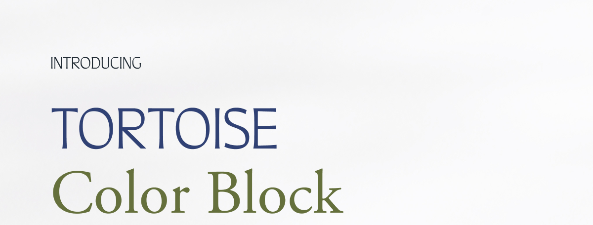 Introducing Tortoise Color Block Introducing Tortoise Color Block