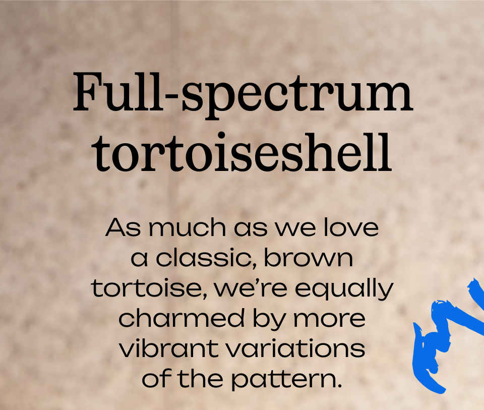 Full-spectrum tortoiseshell Full-spectrum tortoiseshell