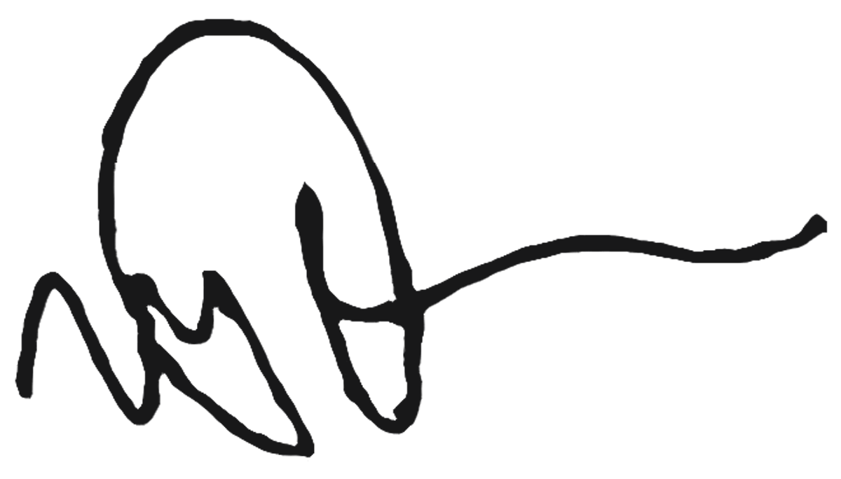 McCall's Signature