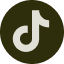 TikTok logo