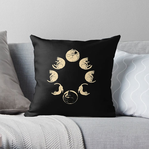 Throw Pillows