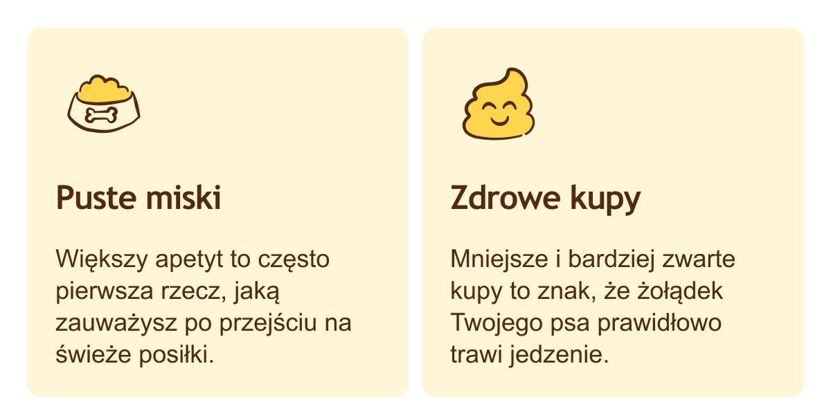 Puste miski: Większy apetyt to często pierwsza rzecz, jaką zauważysz po przejściu na świeże posiłki. • Zdrowe kupy: Mniejsze i bardziej zwarte kupy to znak, że żołądek Twojego psa prawidłowo trawi jedzenie.