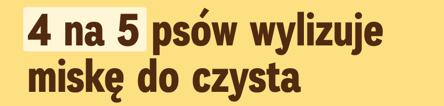 4 na 5 psów wylizuje miskę do czysta