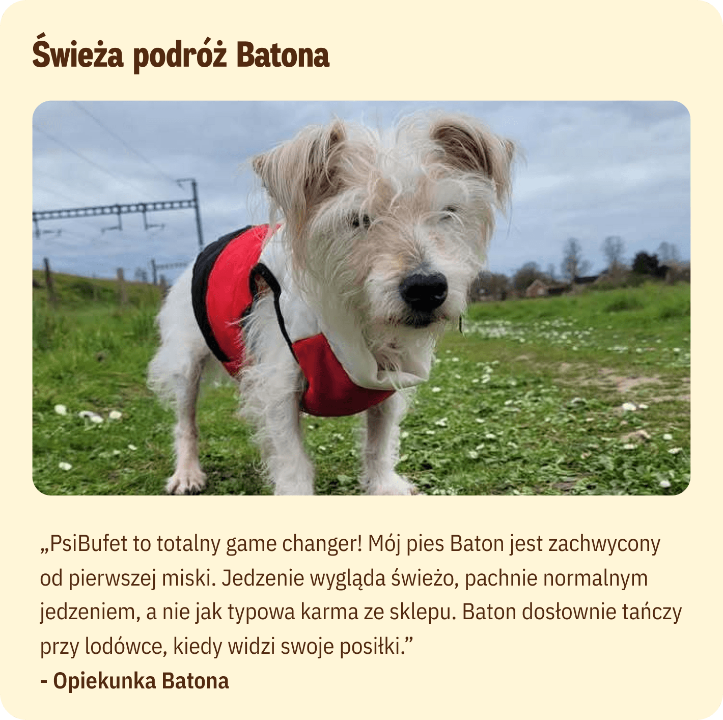 świeża podróż batona