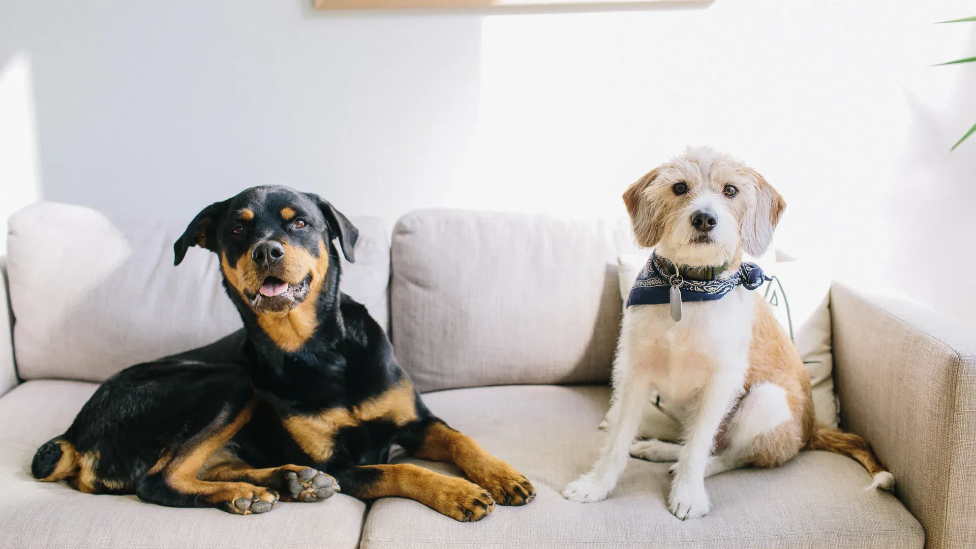 Apple Essentials Deals