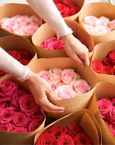 Apple Essentials Deals