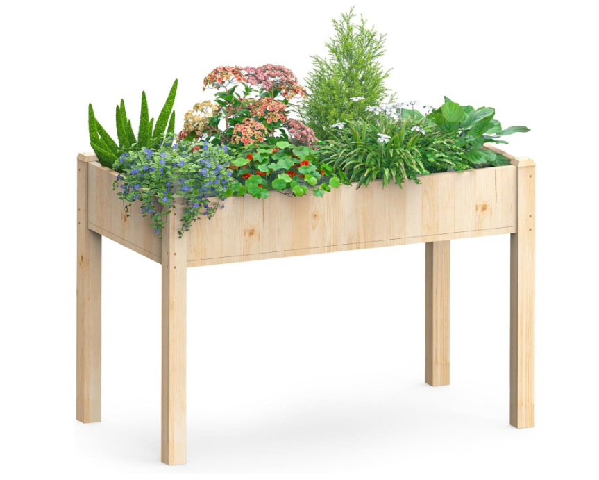 Raised garden bed Raised garden bed