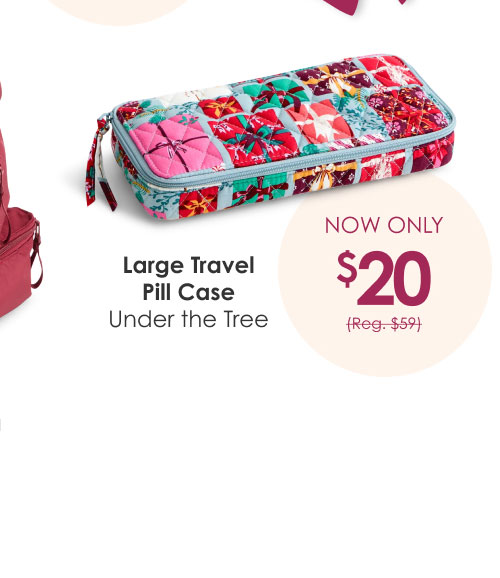 Shop Large Travel Pill