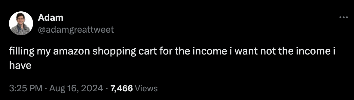 filling my amazon shopping cart for the income i want not the income i have