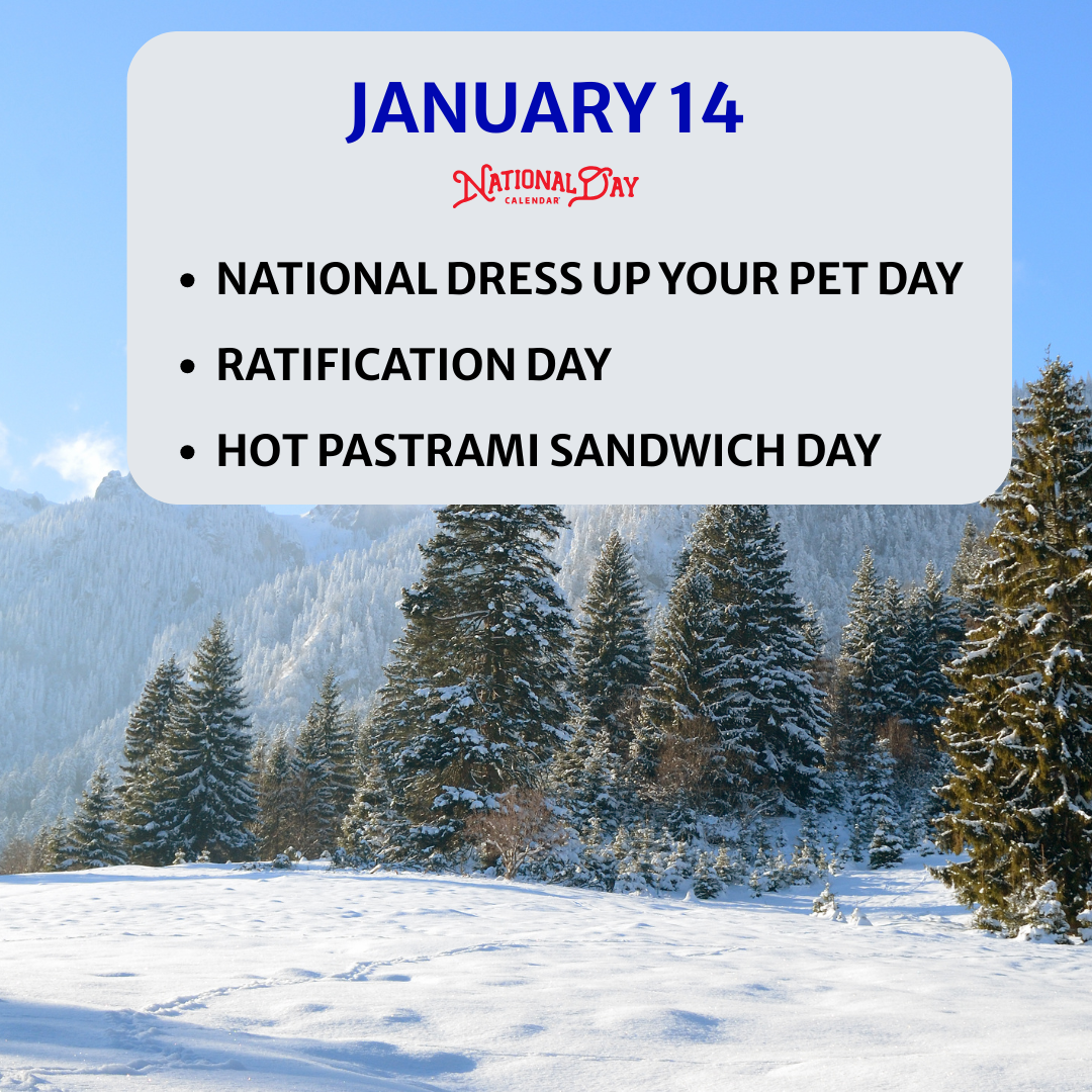 Do You Dress Your Pet From Time To Time?