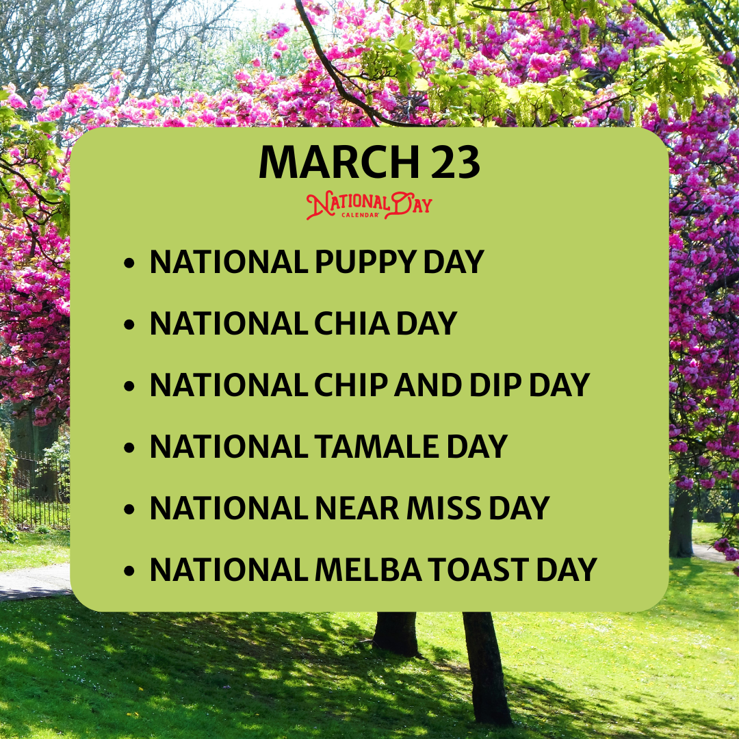 And, tamales! The perfect way to kick-off the work week!!