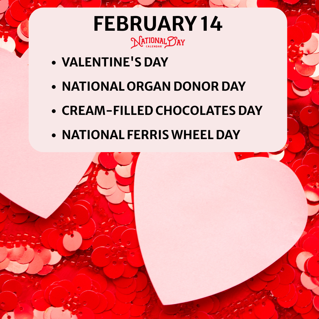 Night out or quiet evening at home?