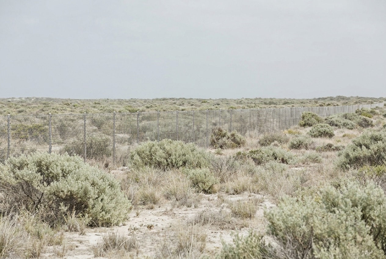 Fence line across empty scrubland