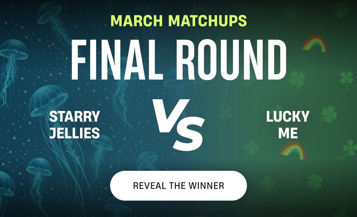 Match Matchups Final Round | Reveal the Winner