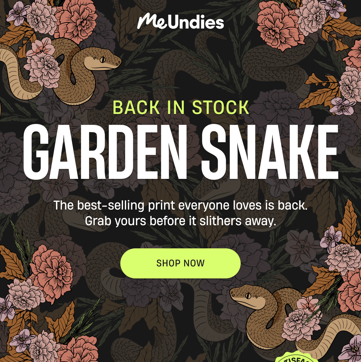 MeUndies | Back In Stock Garden Snake | Shop Now