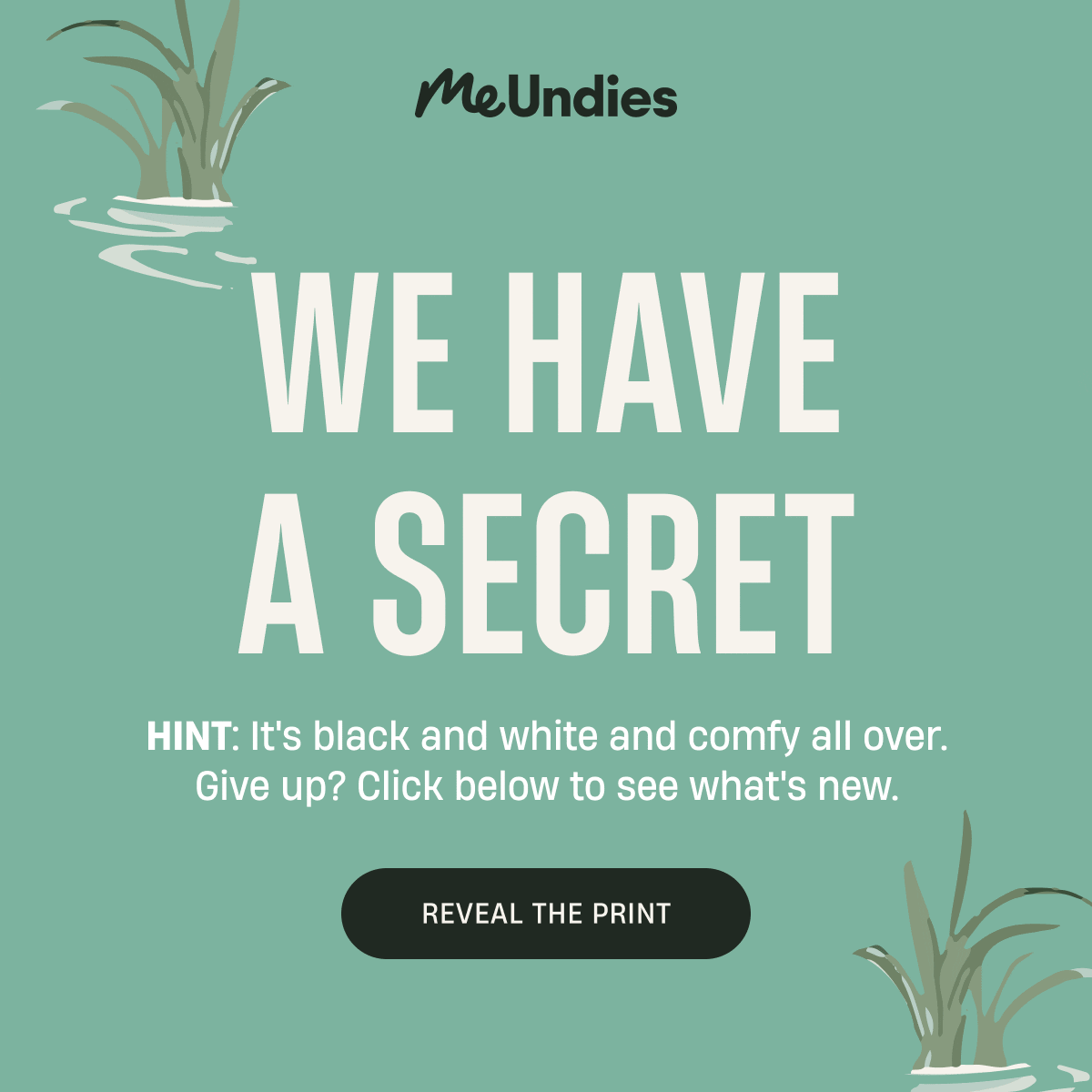 MeUndies | We have a secret | Reveal The Print
