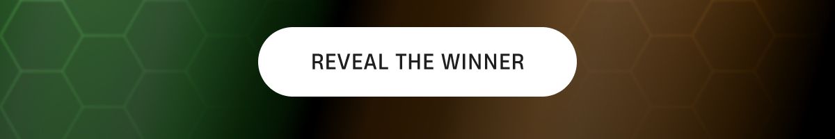 Reveal The Winner