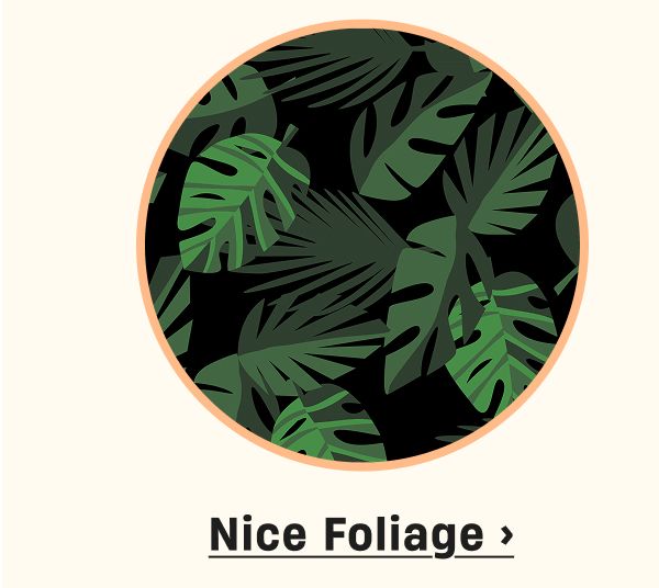 Nice Foliage