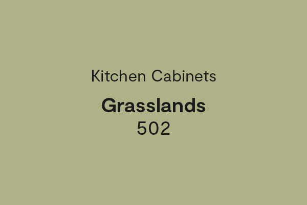 Kitchen Cabinets - Grasslands 502