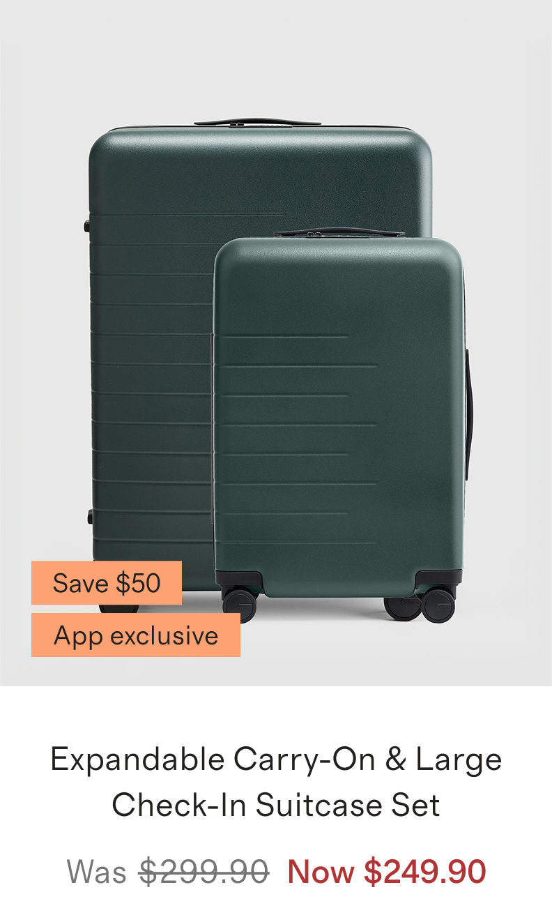 Expandable Carry-On & Large Check-In Suitcase Set