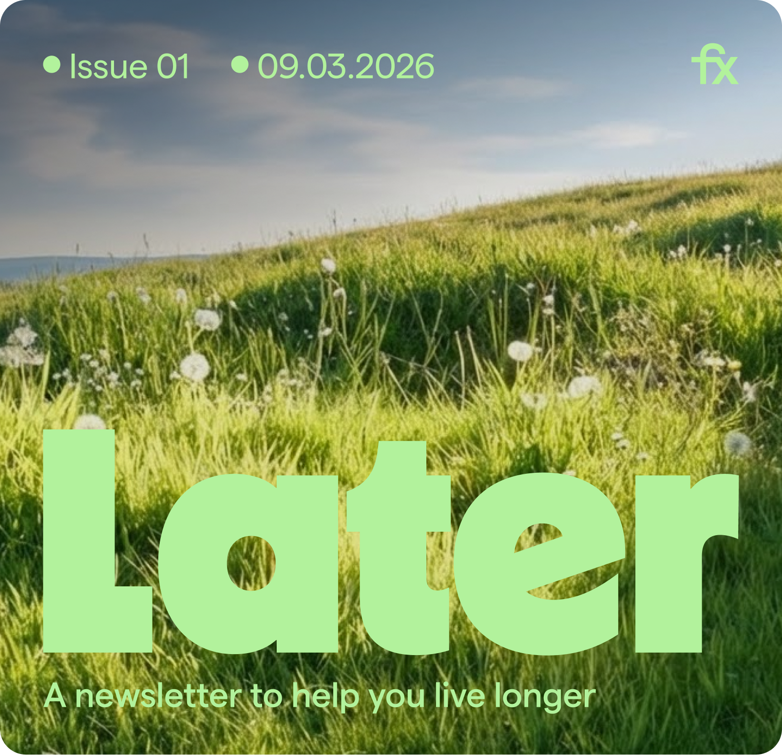 Later - A newsletter to help you live longer