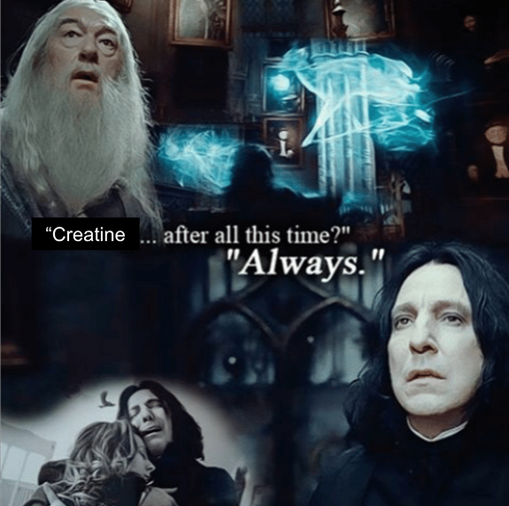 harry potter meme