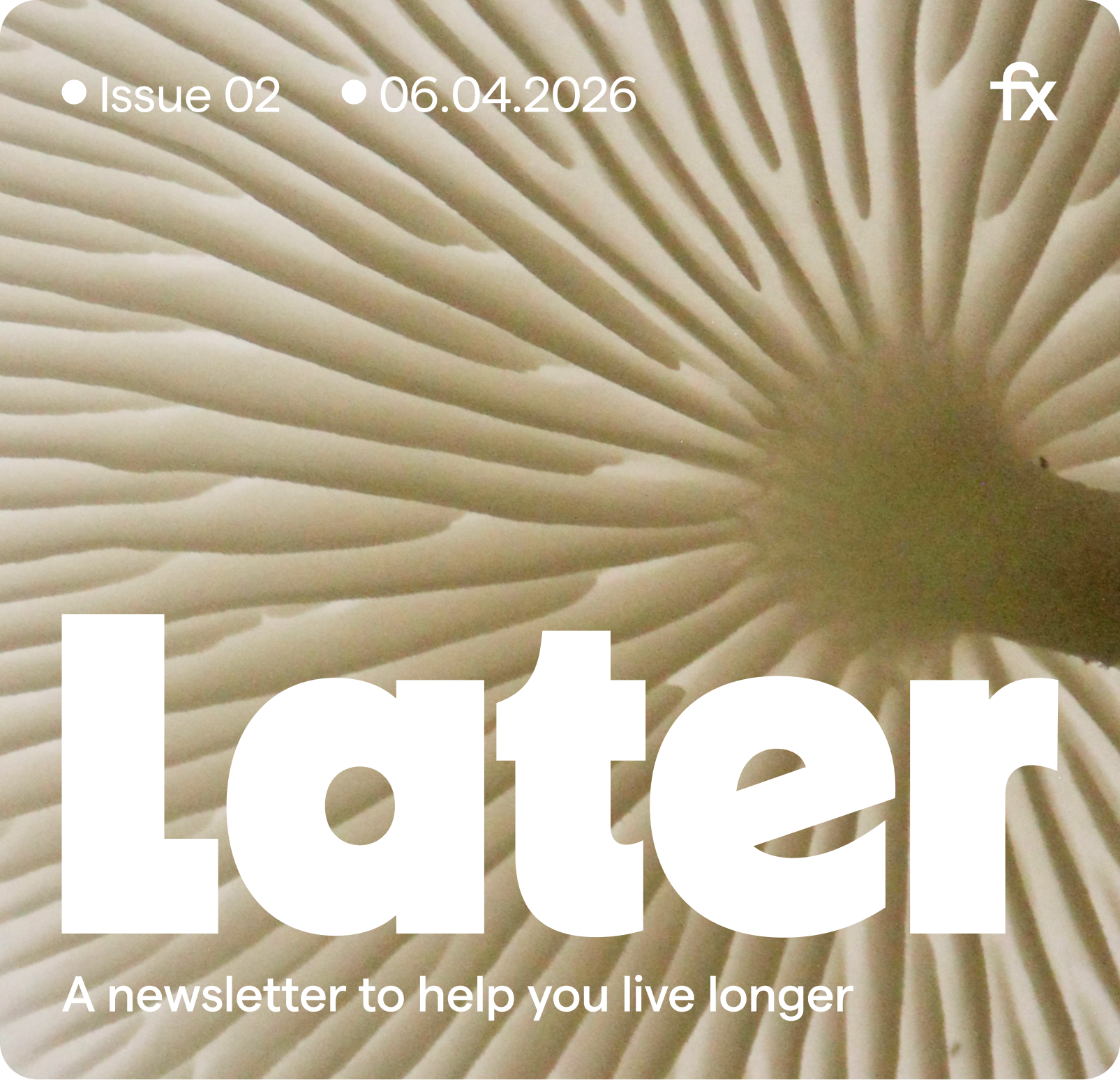 Later - A newsletter to help you live longer
