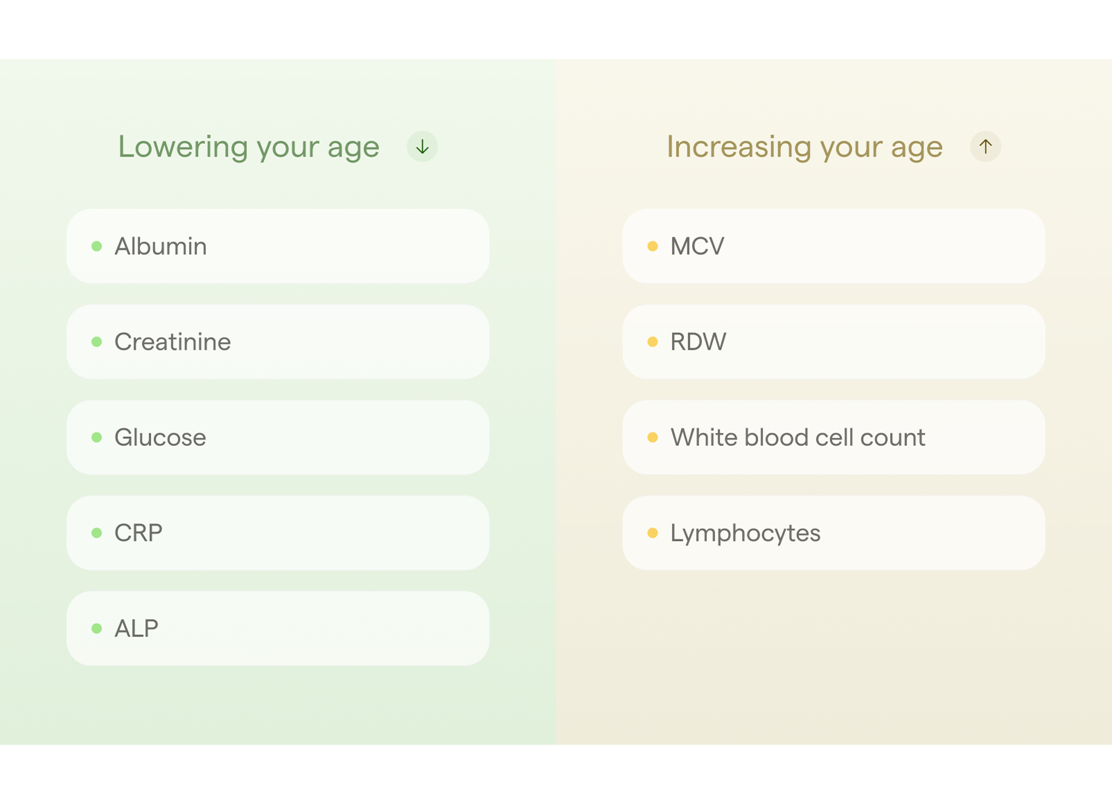 Image of product improvements to biological age