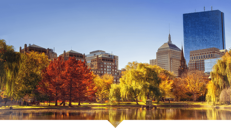 Fall Foliage