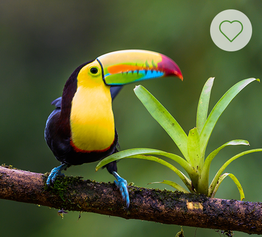 Costa Rica