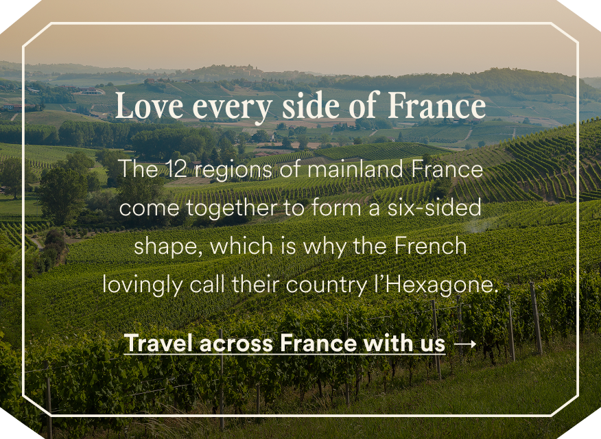 French vineyard landscape with Love every side of France and Travel across France with us — opens France tours.