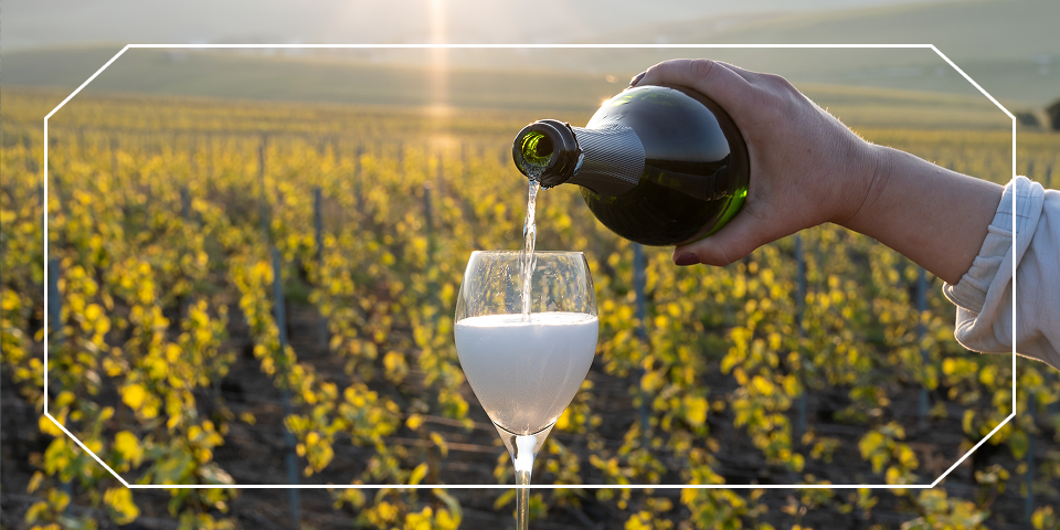 Champagne being poured into a glass in a vineyard at sunset — opens France for Women: Paris, Loire Valley & Champagne Region itinerary